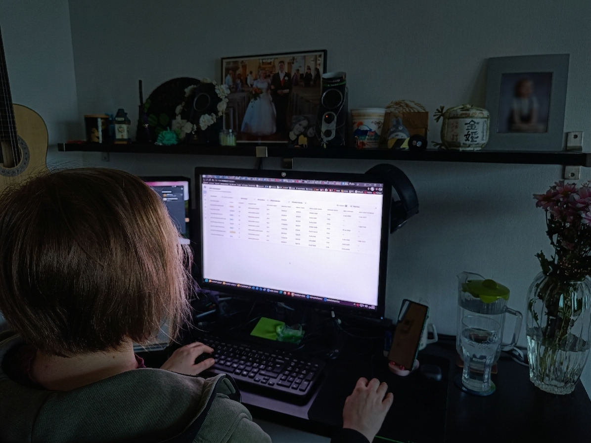 Software testing in action